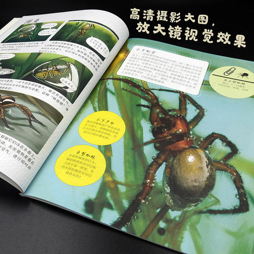 不可思议的虫子王国（套装4册） 番茄博士双语百科 小学高年级至初中低年级 商品图4