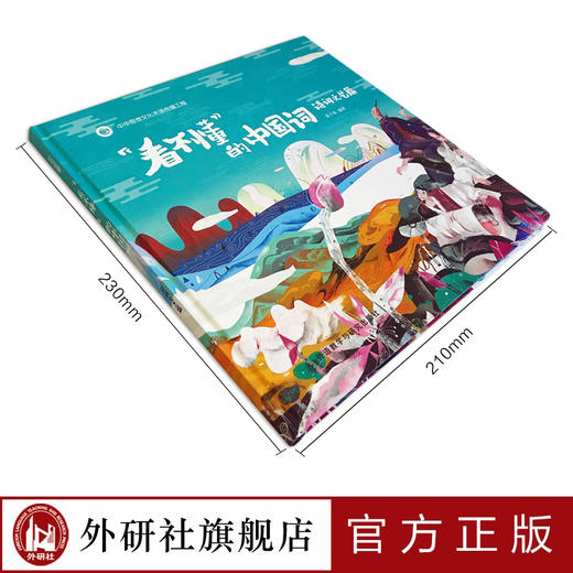 “看不懂”的中国词：诗词文艺篇 商品图4