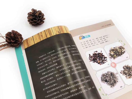 赠视频 小药工 中医传统手工制作活动 孔令谦 青少年中医科学兴趣培养书 传承中医药 中医药传统知识技能 趣味传统中药手工体验 商品图4