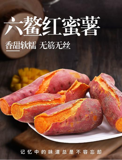 六鳌蜜薯 商品图0