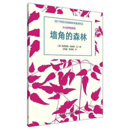 小小自然观察员系列（3册套装）3-8岁 荣获2017年意大利安徒生奖 商品图1