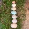 生态鸡蛋 | 合作生产*Eco- egg | Coproduction 商品缩略图0