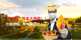 十人拼团#海南贵妃芒   生果五斤装