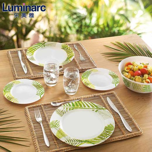 LUMINARC乐美雅 绿色森林24件套（法国进口） 商品图0