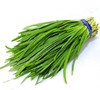 上庄店 韭菜 约500g 商品缩略图0