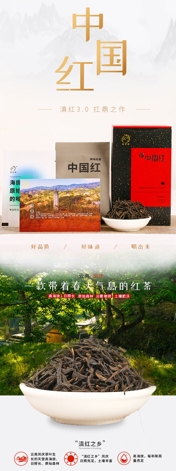 凤宁号中国红云南高山小叶滇红茶凤庆红茶茶叶100g铁罐装