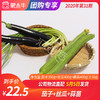 【团长】茄子350g+丝瓜400g+蒜苗400g（±50g） 商品缩略图0