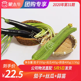 【团长】茄子350g+丝瓜400g+蒜苗400g（±50g）