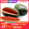 【团长】黑美人西瓜 2.5kg±150g 商品缩略图0