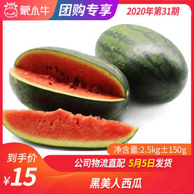 【团长】黑美人西瓜 2.5kg±150g