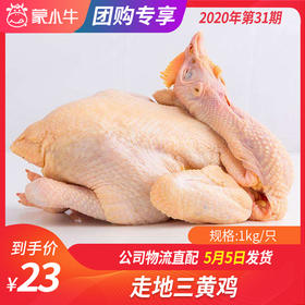 【团长】走地三黄鸡	980g/只