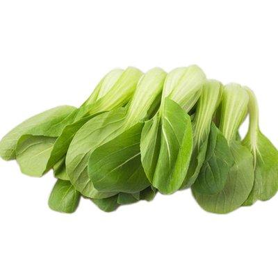 青菜1斤 商品图0