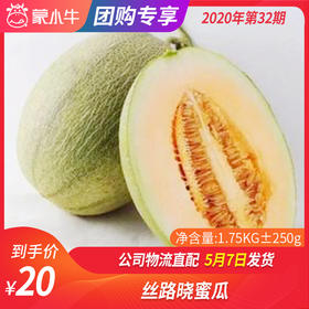 【团购】丝路晓蜜瓜 1.75KG±250g