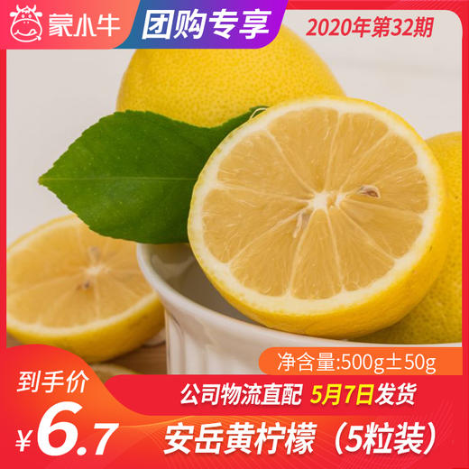 【团购】安岳黄柠檬 500g±50g（5粒装） 商品图0