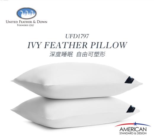UNITED FEATHER&DOWN美国羽绒枕单人枕芯护颈椎 商品图2