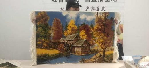 地毯/挂毯70*105cm 商品图2