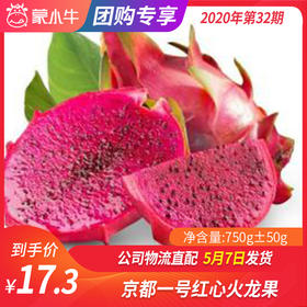 【 团购】京都一号红心火龙果 750g±50g