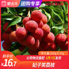 【团购】妃子笑荔枝 500g±50g 商品缩略图0