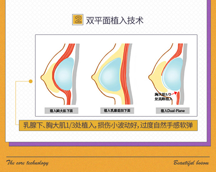 维纳斯丰胸:翘挺,饱满,手感真实 让你重回少女时代
