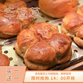 【买一送一】幸运草