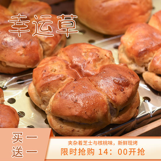 【买一送一】幸运草 商品图0