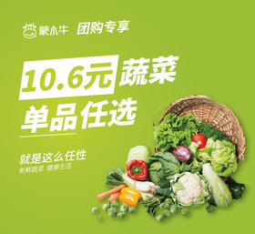 【团购】单品10.6元蔬菜任选