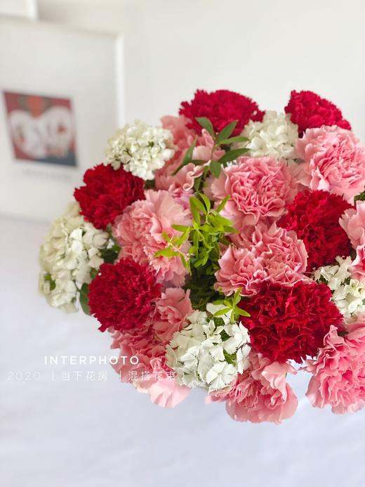 【送给岁月静好的您】粉康9 红康6 白色相思梅5 尤加利叶细叶2 商品图1