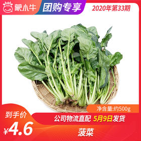 【团购】菠菜约500g