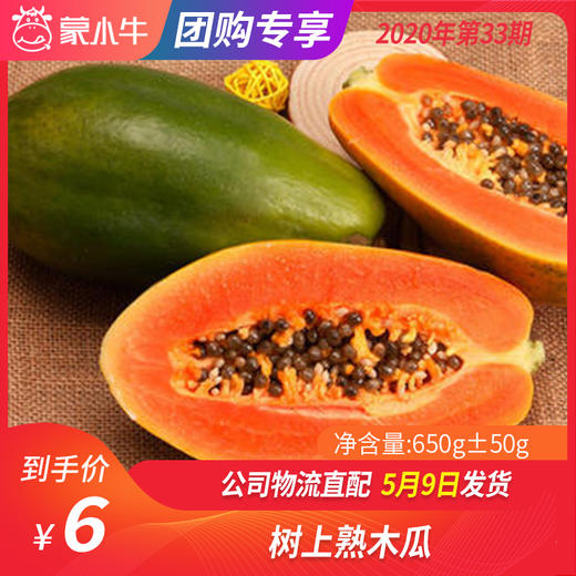 【团购】树上熟木瓜650g±50g 商品图0