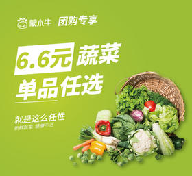 【团购】单品6.6元蔬菜任选
