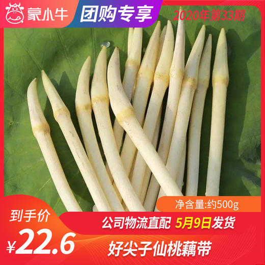 【团购】好尖子仙桃藕带约500g 商品图0
