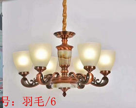 皓邦羽毛5802 / 6 吊灯