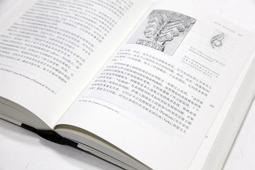 《风格问题-装饰历史的基础》阿洛伊斯·李格尔 著 定价:118 中国美术学院 正版品牌直销 满58包邮--中国美术学院出版社欢迎您！ 商品图1
