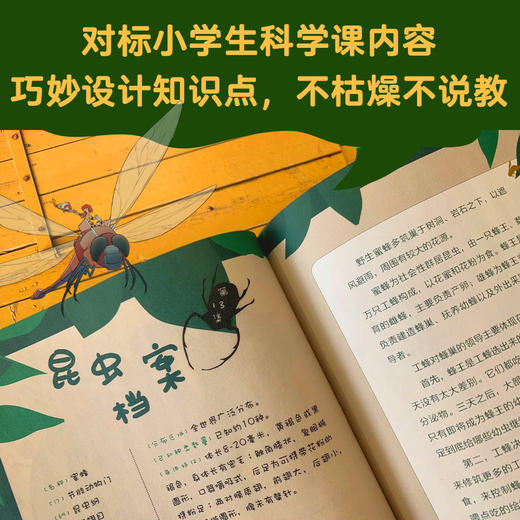 新书预售 神奇图书馆 昆虫特战队4册 6-10岁凯叔写给孩子的科学探险故事 40份昆虫档案 认识昆虫 昆虫专家揭秘科学观察工作 商品图3