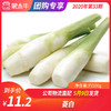 【团购】菱白约500g 商品缩略图0