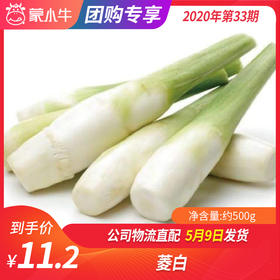 【团购】菱白约500g