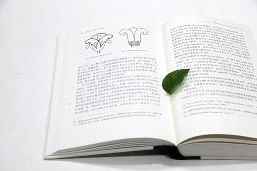 《风格问题-装饰历史的基础》阿洛伊斯·李格尔 著 定价:118 中国美术学院 正版品牌直销 满58包邮--中国美术学院出版社欢迎您！ 商品图2