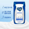 蒙牛原味纯甄200gx12盒酸奶整箱(1月产) 商品缩略图2