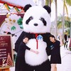 禧乐演艺 商品缩略图0