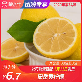 【团购】安岳黄柠檬500g±50g