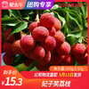 【团购】妃子笑荔枝500g±50g 商品缩略图0