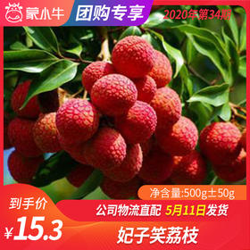 【团购】妃子笑荔枝500g±50g