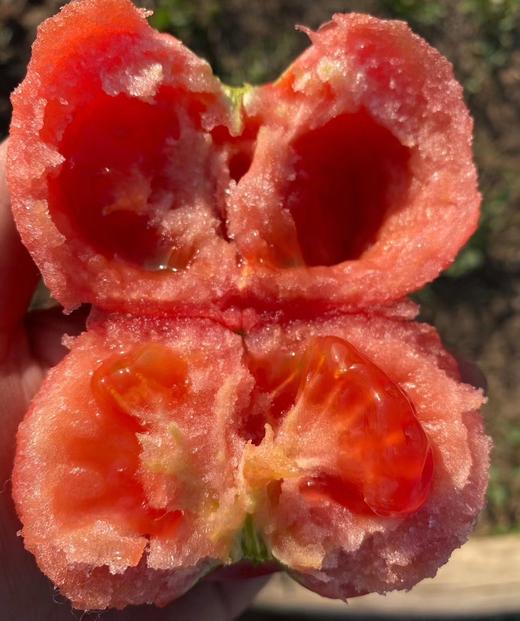 【顺丰包邮】吐鲁番沙瓤5斤12-15个/件   商品图4