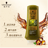 【亚欧超市】施华蔻生姜精华修护净澈润发乳400ml 商品缩略图3