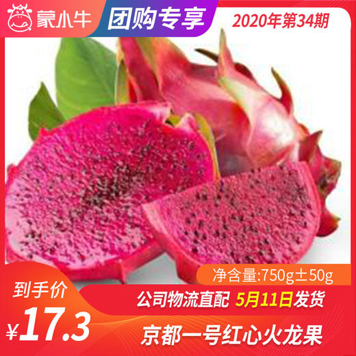 【团购】京都一号红心火龙果 750g±50g 商品图0