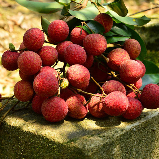 白糖罂荔枝嫩白软滑，平均能达到19°蜜甜 商品图2