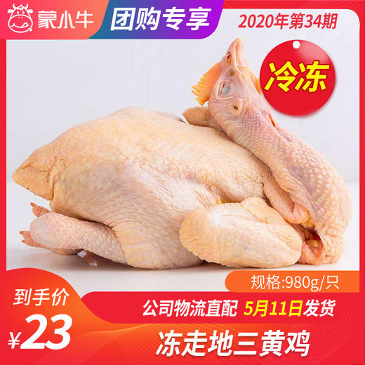 【团购】冻走地三黄鸡980g/只 商品图0