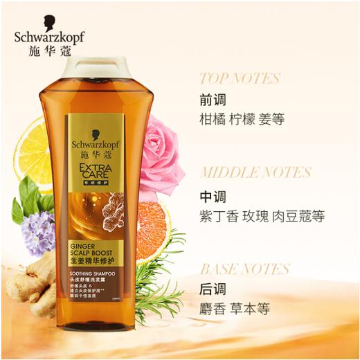 【亚欧超市】施华蔻生姜精华修护舒缓洗发露400ml 商品图2