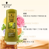 【亚欧超市】施华蔻生姜精华修护净澈润发乳400ml 商品缩略图5