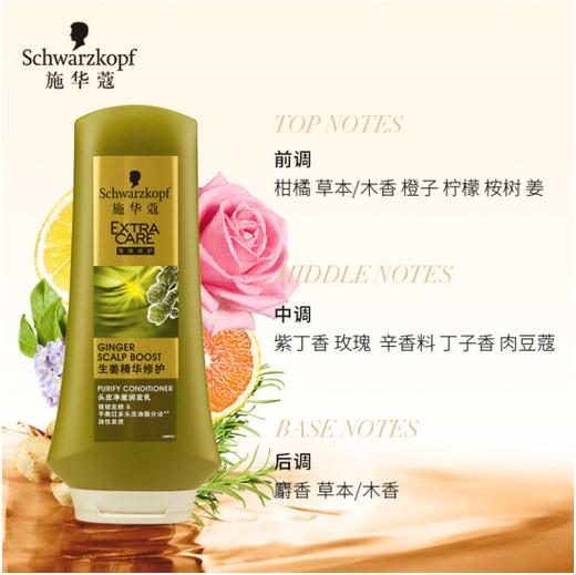 【亚欧超市】施华蔻生姜精华修护净澈润发乳400ml 商品图5